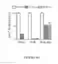 Fig. 19 - Compositions and methods for cancer diagnosis