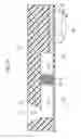 Fig. 12 - Sample analysis device and capturing method for exosomes