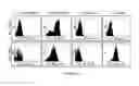 Fig. 11 - Linked Peptide Fluorogenic Biosensors