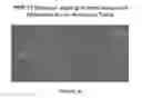 Fig. 43 - Linked Peptide Fluorogenic Biosensors