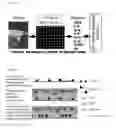 Fig. 05 - MULTIPHASE MICROARRAYS AND USES THEREOF