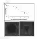 Fig. 09 - MULTIPHASE MICROARRAYS AND USES THEREOF