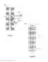 Fig. 09 - Apparatus for Manipulation and Detection of Magnetic Particles