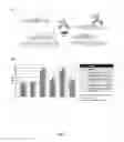 Fig. 10 - Detection of Non-Nucleic Acid Analytes Using Strand Displacement Exchange Reactions