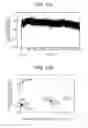Fig. 12 - Device, non-transitory computer-readable storage medium, and method for determining type of target peptide