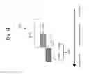 Fig. 07 - Test kit