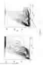 Fig. 03 - PROTOCOL FOR IDENTIFYING AND ISOLATING ANTIGEN-SPECIFIC B CELLS AND PRODUCING ANTIBODIES TO DESIRED ANTIGENS