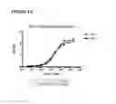Fig. 11 - PROTOCOL FOR IDENTIFYING AND ISOLATING ANTIGEN-SPECIFIC B CELLS AND PRODUCING ANTIBODIES TO DESIRED ANTIGENS