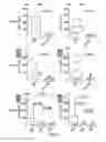 Fig. 05 - Use of ACY-1 as a marker of ischaemia/reperfusion, delayed graft function and graft viability as well as method thereof
