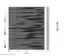 Fig. 13 - Circulating tumor cell diagnostics for prostate cancer biomarkers