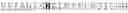 Fig. 24 - USE OF POLYCLONAL AND MONOCLONAL ANTIBODIES SPECIFIC FOR 3-PHOSPHOHISTIDINE