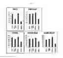 Fig. 07 - Biomarker PNCK for predicting effect of a dual-targeting agent