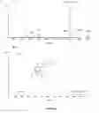 Fig. 02 - METHYLCITRATE ANALYSIS IN DRIED BLOOD SPOTS