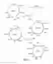 Fig. 02 - Isolating cells expressing secreted proteins