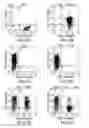 Fig. 06 - Isolating cells expressing secreted proteins