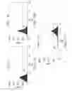 Fig. 12 - Isolating cells expressing secreted proteins