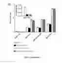 Fig. 10 - METHOD AND COMPOSITIONS FOR DETECTING BINDING TO THE PREGNANE X RECEPTOR