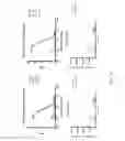 Fig. 11 - MAMMALIAN PROTEIN CO-RECOGNITION BY BROADLY NEUTRALIZING ANTIBODIES AS MODIFIED IMMUNOGENS FOR RE-ELICITATION