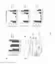 Fig. 04 - 2-HYDROXYGLUTARATE AS A BIOMARKER FOR CHRONIC HYPOXIA
