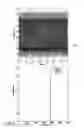 Fig. 06 - Flux-gate current sensor with additional frequency measuring