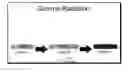 Fig. 01 - Chromotropic detection of ionizing radiation