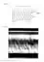 Fig. 20 - Light diffusion films and compositions for preparing the same
