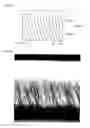 Fig. 21 - Light diffusion films and compositions for preparing the same
