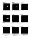 Fig. 29 - Light diffusion films and compositions for preparing the same