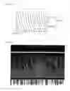 Fig. 31 - Light diffusion films and compositions for preparing the same