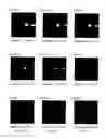 Fig. 34 - Light diffusion films and compositions for preparing the same