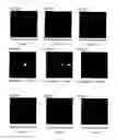Fig. 42 - Light diffusion films and compositions for preparing the same