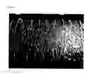 Fig. 44 - Light diffusion films and compositions for preparing the same