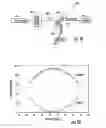 Fig. 03 - Bragg liquid crystal polarization gratings