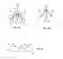 Fig. 14 - LIGHT GUIDE AND LIGHTING ASSEMBLY WITH ARRAY OF MICRO-OPTICAL ELEMENT GROUPINGS
