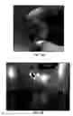 Fig. 13 - Movable barrier operator light distribution