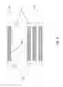 Fig. 05 - OPTICAL SHUTTER BASED ON SUB-WAVELENGTH GRATINGS ACTUATED BY MICROELECTROMECHANICAL SYSTEMS