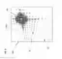 Fig. 05 - Projector optimized for modulator diffraction effects