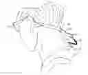 Fig. 01 - LEASH APPARATUS FOR USE IN RETAINING AN EYEGLASS ON A USERS BODY