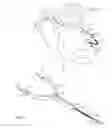 Fig. 02 - LEASH APPARATUS FOR USE IN RETAINING AN EYEGLASS ON A USERS BODY