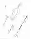 Fig. 03 - LEASH APPARATUS FOR USE IN RETAINING AN EYEGLASS ON A USERS BODY