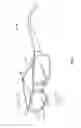 Fig. 02 - Transparent lens microphone