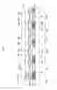 Fig. 06 - Liquid crystal display panel and manufacturing method thereof