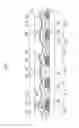 Fig. 07 - Liquid crystal display panel and manufacturing method thereof