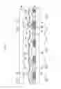 Fig. 09 - Liquid crystal display panel and manufacturing method thereof