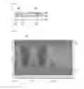 Fig. 18 - LIQUID CRYSTAL DISPLAY DEVICE