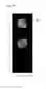 Fig. 40 - LIQUID CRYSTAL DISPLAY DEVICE