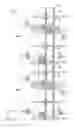 Fig. 03 - Pixel array