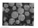 Fig. 01 - Carrier for electrophotographic developer and electrophotographic developer