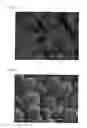 Fig. 07 - Carrier for electrophotographic developer and electrophotographic developer