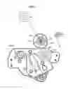 Fig. 08 - Image forming apparatus with a fulcrum that pivotally supports an image bearer and detector